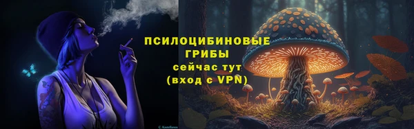 spice Беломорск
