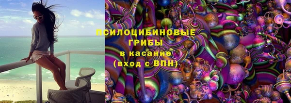 spice Беломорск